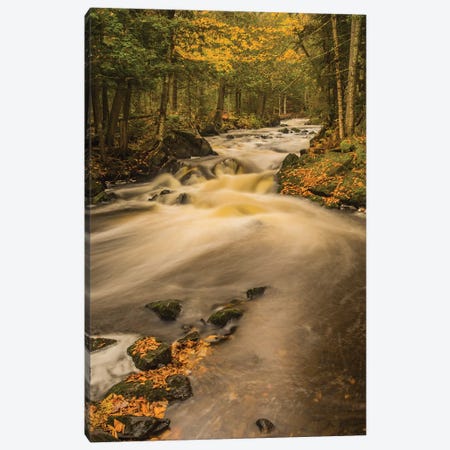USA, Michigan, Fall Colors, Stream Canvas Print #GTH21} by George Theodore Canvas Art Print