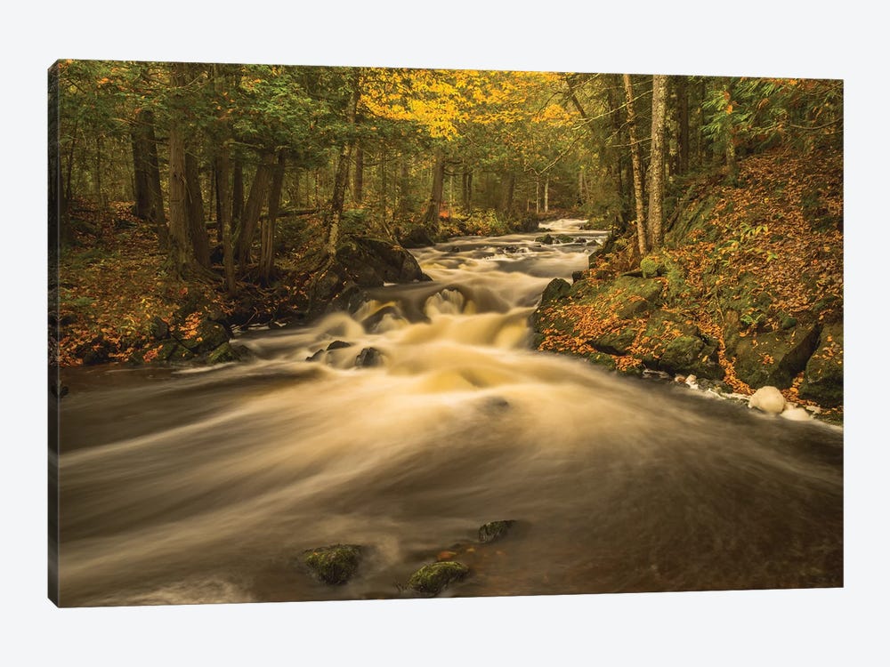USA, Michigan. Fall Colors, Stream by George Theodore 1-piece Canvas Art Print
