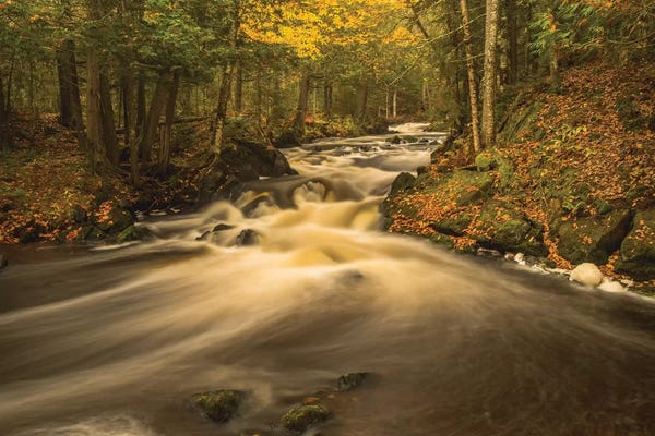 George Theodore: USA, Michigan. Fall Colors, Stream by George Theodore