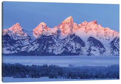 USA, Wyoming. Grand Teton National Park, winter landscape I Canvas Art Print - Rocky Mountain Art Collection - Canvas Prints & Wall Art