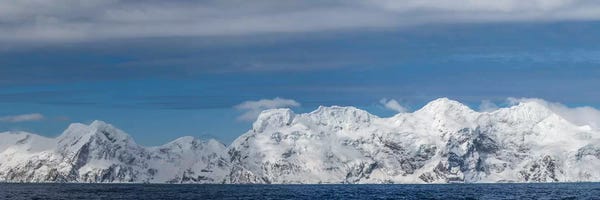 George Theodore: Antarctica, Elephant Island, panorama by George Theodore