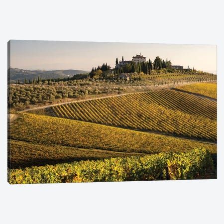 Vineyard In Autumn I, Italy, Tuscany Canvas Print #GTH48} by George Theodore Canvas Print