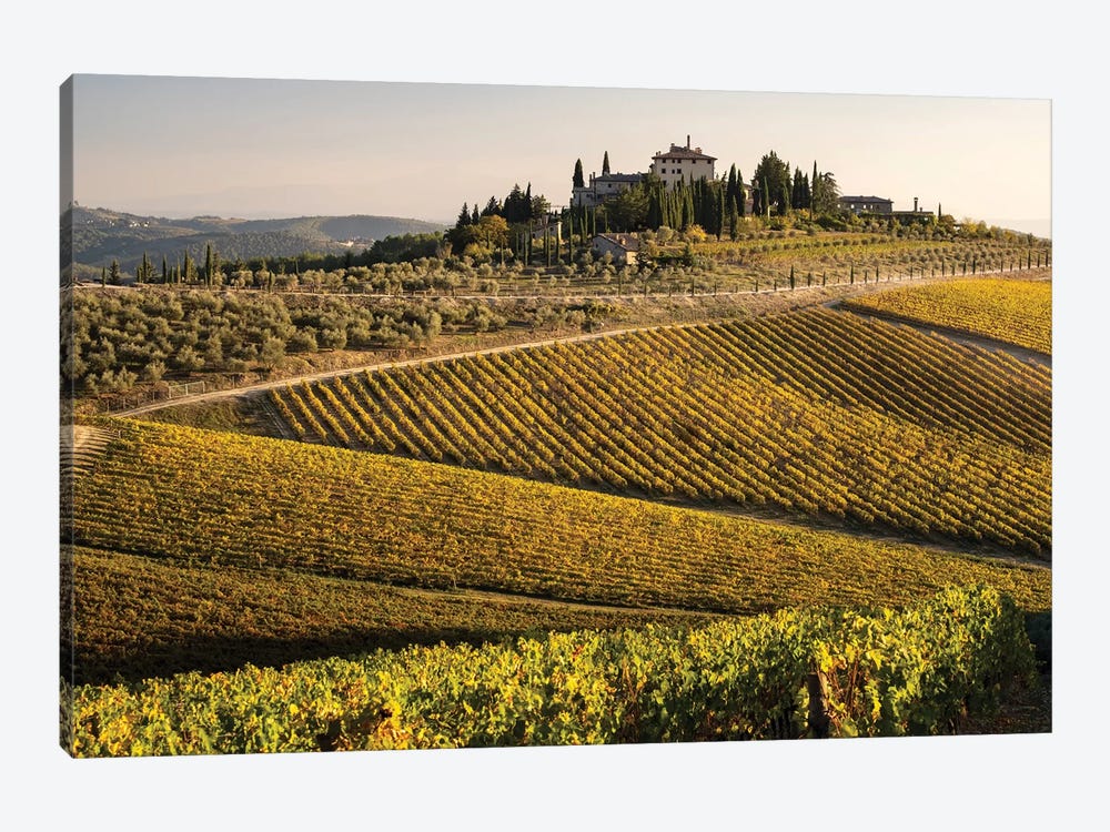 Vineyard In Autumn I, Italy, Tuscany by George Theodore 1-piece Canvas Wall Art