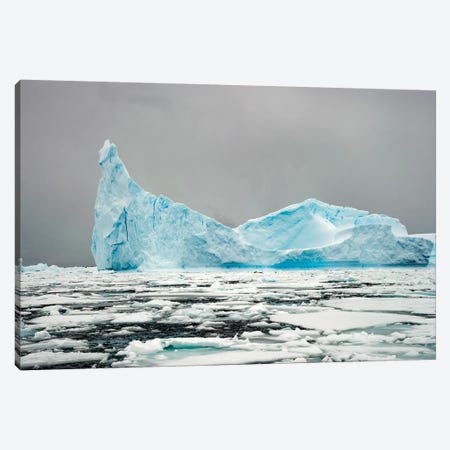 Antarctica, Iceberg, Blue Ice Canvas Print #GTH6} by George Theodore Canvas Art Print