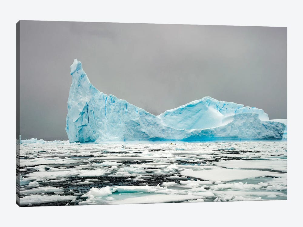 Antarctica, Iceberg, Blue Ice by George Theodore 1-piece Canvas Art Print