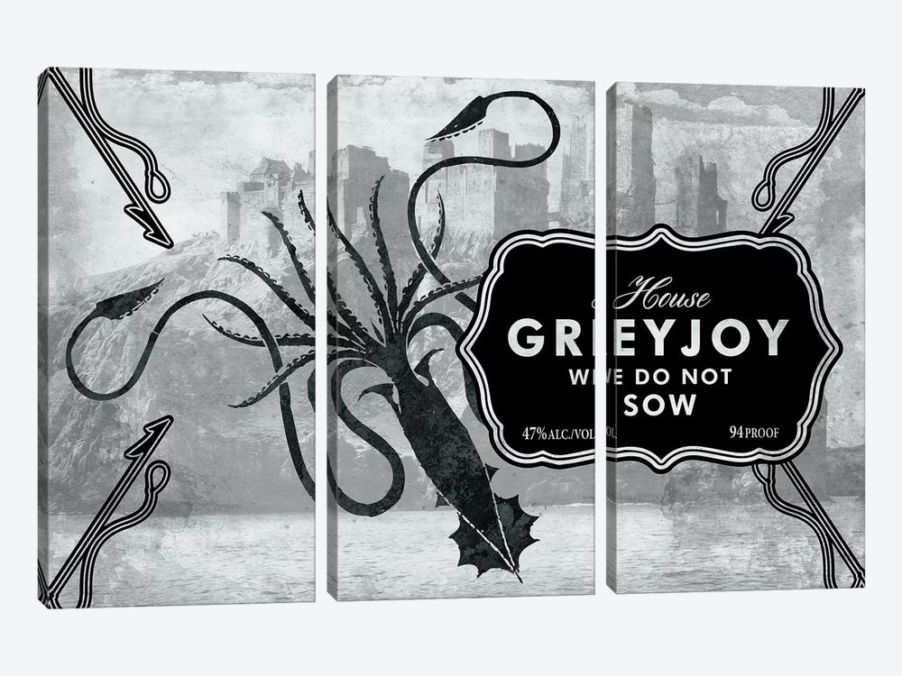 Greyjoy Rum by 5by5collective 3-piece Canvas Art Print
