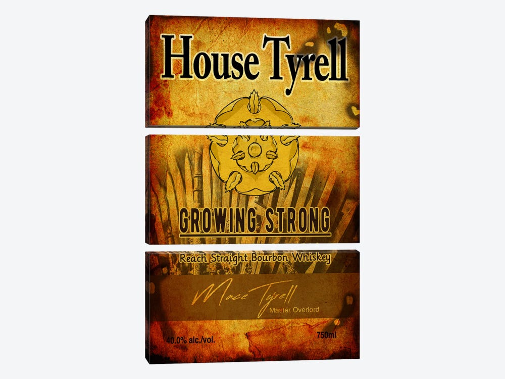 House Tyrell Bourbon by 5by5collective 3-piece Canvas Artwork