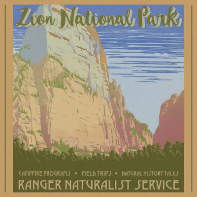 Zion National Park by Graffi*Tee Studios framed wall art