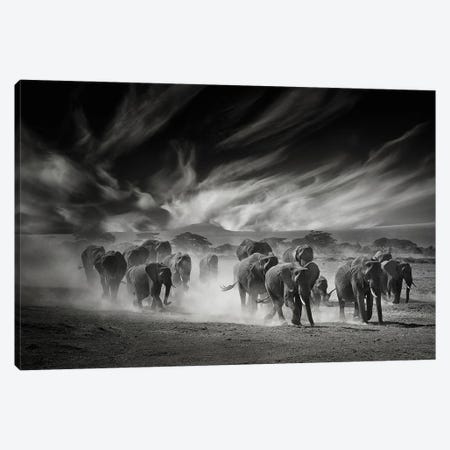 The Sky, The Dust And The Elephants Canvas Print #GUL9} by Mathilde Guillemot Canvas Art Print