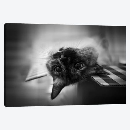 Upside Down Canvas Print #GUO1} by Leah Guo Canvas Art
