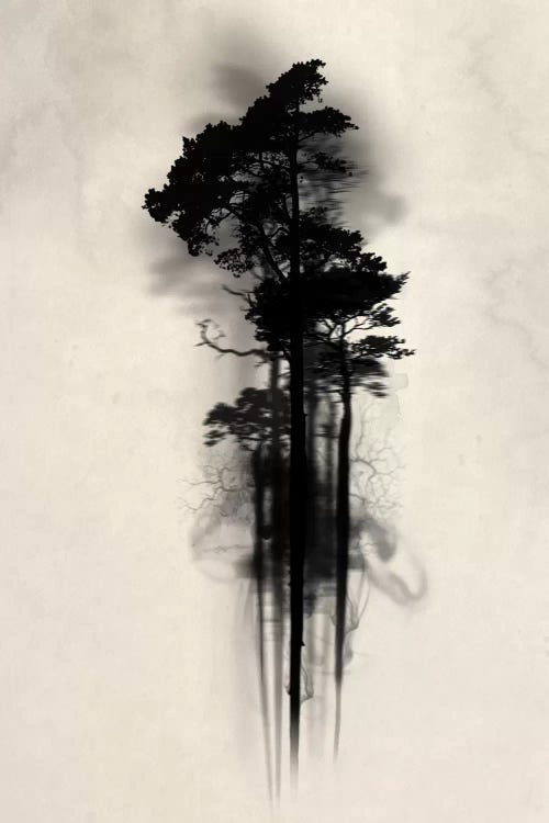 Enchanted Forest by Nicklas Gustafsson wall art