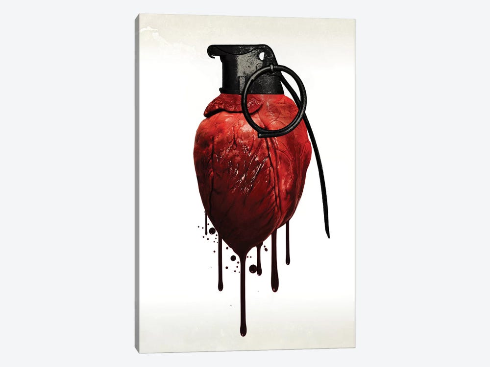 Heart Grenade by Nicklas Gustafsson 1-piece Canvas Artwork