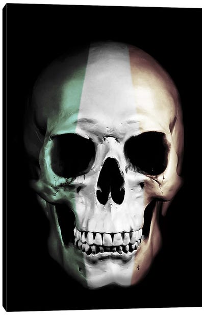 Irish Skull Canvas Art Print - Nicklas Gustafsson