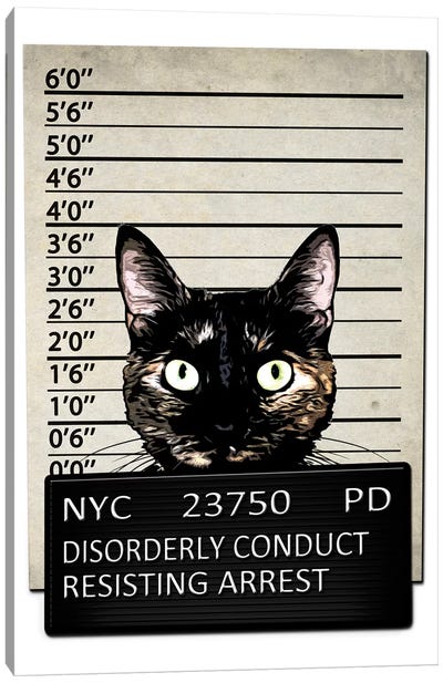 Kitty Mugshot Canvas Art Print - Animal Humor Art