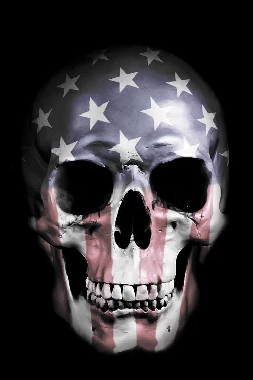 American Skull by Nicklas Gustafsson wall art