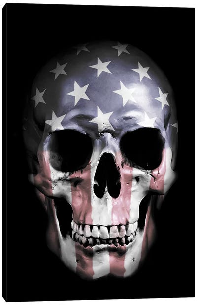 American Skull Canvas Art Print - Skull Art