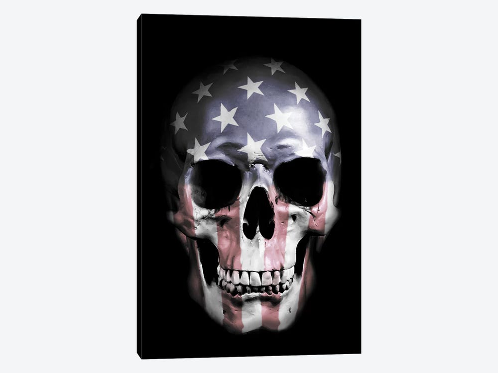 American Skull by Nicklas Gustafsson 1-piece Canvas Artwork