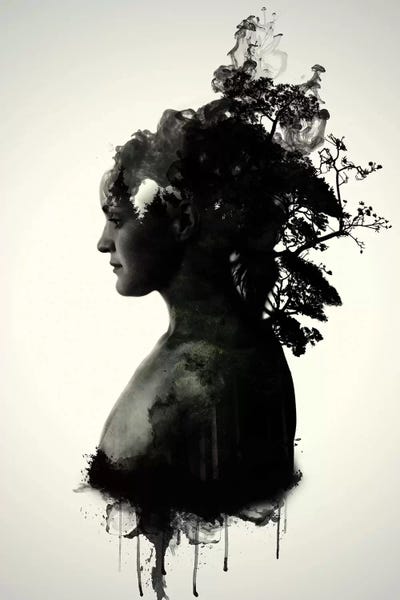 Mother Earth by Nicklas Gustafsson canvas print