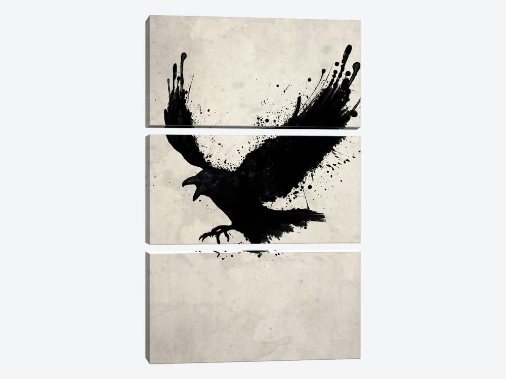 Raven by Nicklas Gustafsson 3-piece Canvas Art
