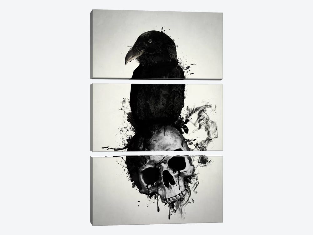 Raven and Skull by Nicklas Gustafsson 3-piece Canvas Art