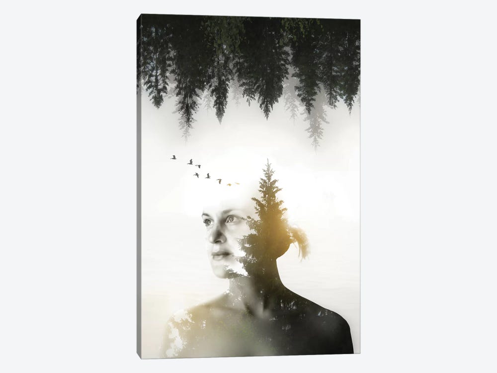 Soul of Nature by Nicklas Gustafsson 1-piece Canvas Art Print