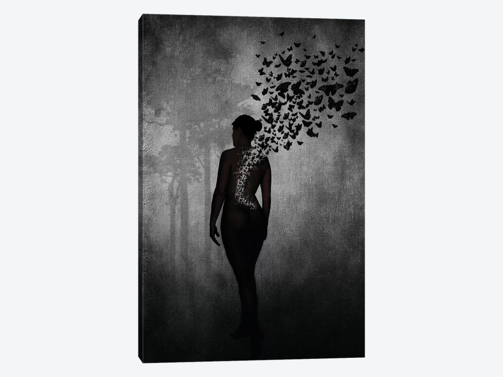The Butterfly Transformation by Nicklas Gustafsson 1-piece Canvas Art