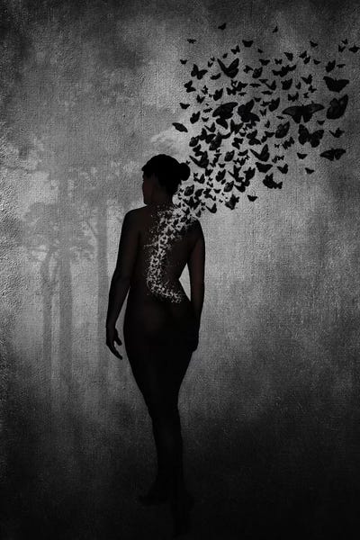 Butterflies: The Butterfly Transformation by Nicklas Gustafsson