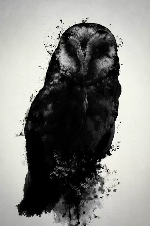 The Owl