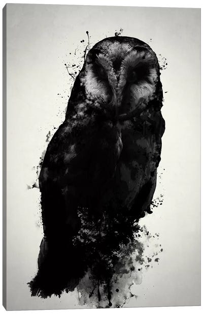 The Owl Canvas Art Print - Bird Art