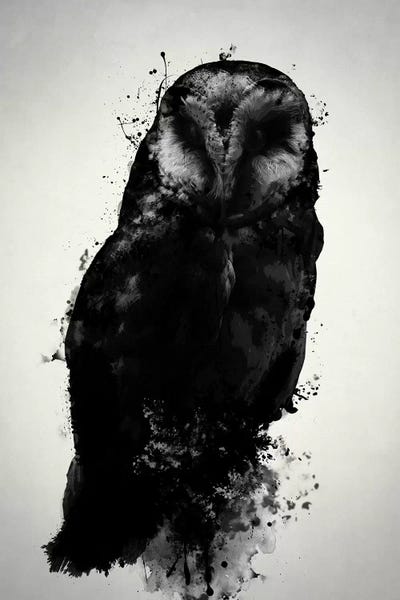 Animal Lover: The Owl by Nicklas Gustafsson