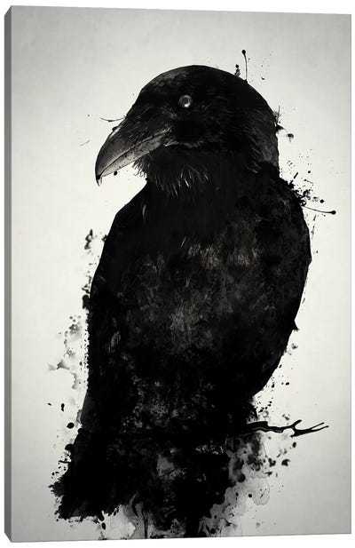 The Raven Canvas Art Print - Nicklas Gustafsson
