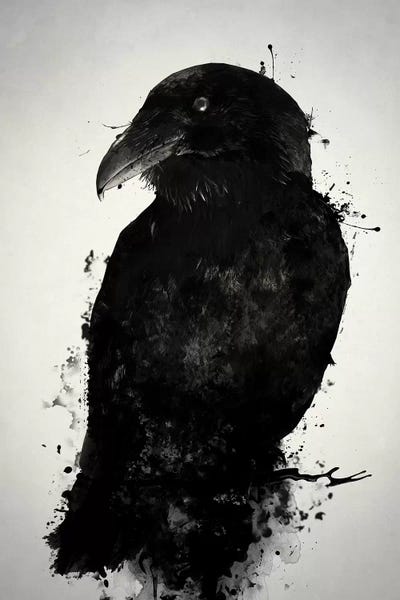 Birds: The Raven by Nicklas Gustafsson