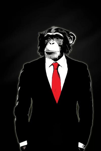 Primates: Domesticated Monkey by Nicklas Gustafsson