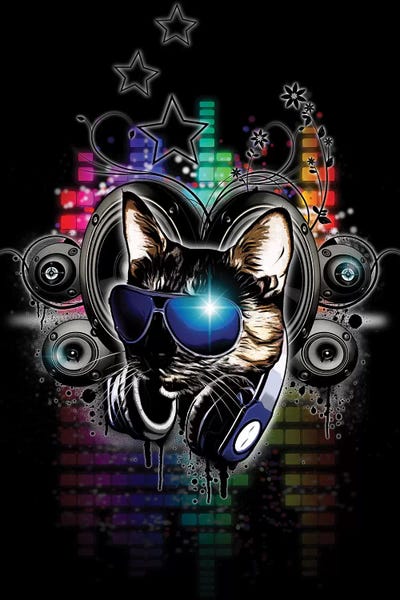 Drop The Bass by Nicklas Gustafsson canvas print