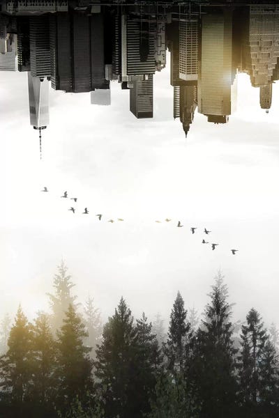 Through The Looking Glass: Duality by Nicklas Gustafsson