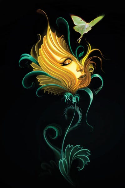 George V. Antoniou: Passion Flowers II by George V. Antoniou
