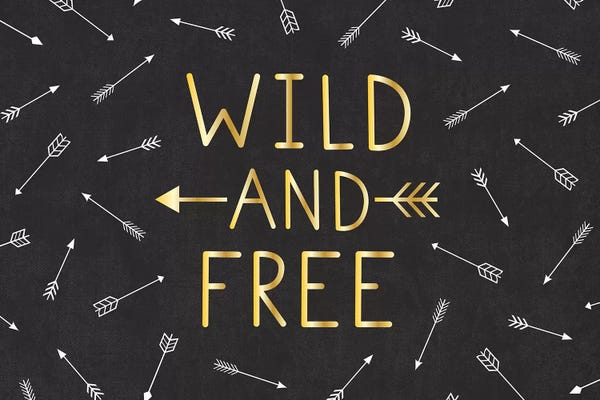 Arrows: Wild And Free by Gail Veillette