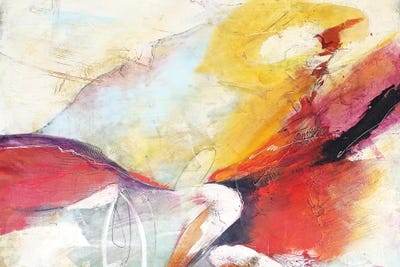 Fugaz I by Gabriela Villarreal canvas print