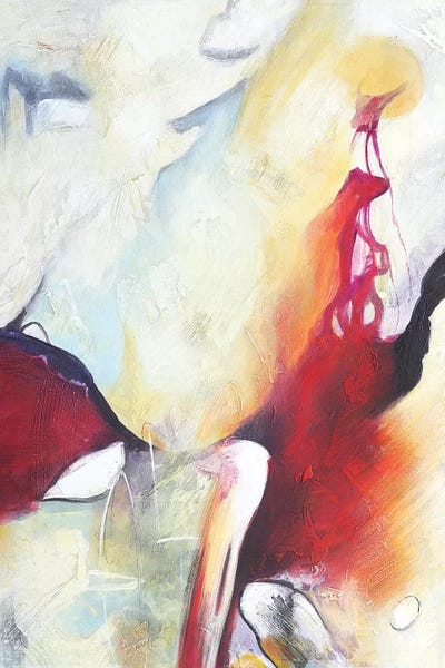 Fugaz V by Gabriela Villarreal canvas print