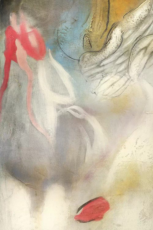 Seccion Angel I by Gabriela Villarreal wall art