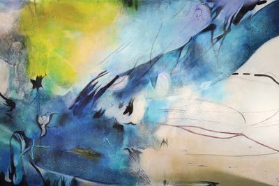 Explosión Aqua II by Gabriela Villarreal canvas print