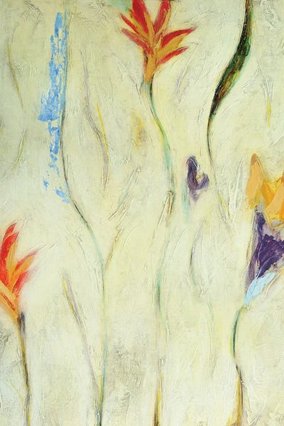 Flor III by Gabriela Villarreal canvas print