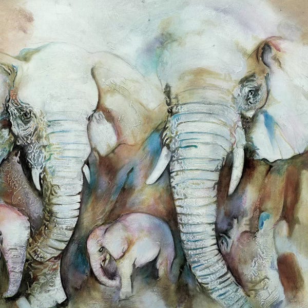 Elephants: Elefantes by Gabriela Villarreal