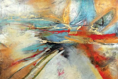 Fugaz III by Gabriela Villarreal canvas print