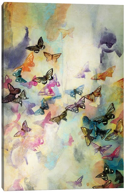 Mariposas III Canvas Art Print - Gabriela Villarreal