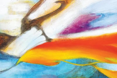 Adalid II by Gabriela Villarreal framed wall art