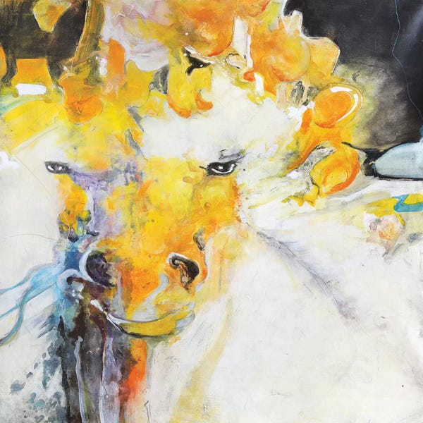 Gabriela Villarreal: Cabalgando Un Sueño I by Gabriela Villarreal