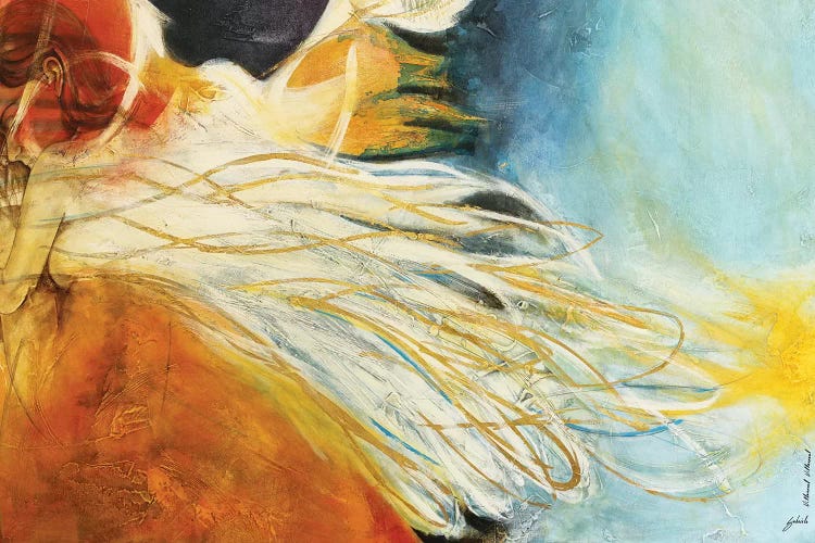 Dione II by Gabriela Villarreal wall art