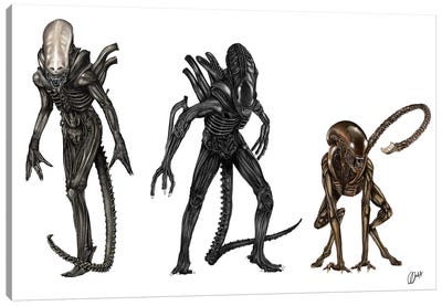 Alien Evolution Canvas Art Print - Gav Norton