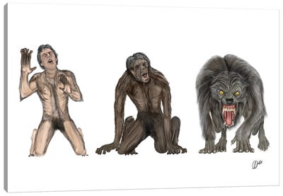 American Werewolf Transformation Canvas Art Print
